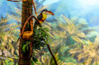 portrait of a beautiful colorful toucan siting on a tree branch in a created for forest inside of a zoo.  the feathers of this bird are wonderful 