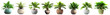 Collection of potted indoor houseplants in various decorated pots, isolated on a transparent background. PNG, cutout, or clipping path