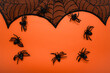 Decorative Halloween Spider Web on orange background