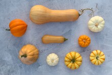 Pumpkins And Squashes On Grey Background. Autumn Pumpkins Varieties.