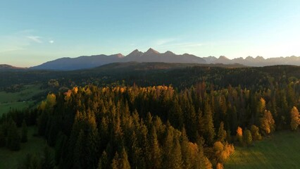 Wall Mural - panorama of the autumn mountains - aerial view