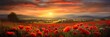 © PinkiePie - Sunrise over fields with poppies