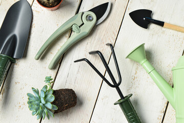 Set of gardening tools on white wooden background