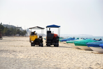 two cranes on the beach