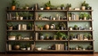 Bookshelf with books and vases and plants, Decoration with plants, urbanism concept