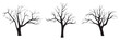 Dead tree vector illustration silhouette. Illustration of trees and branches without leaves