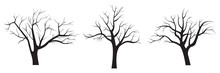 Dead Tree Vector Illustration Silhouette. Illustration Of Trees And Branches Without Leaves