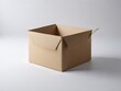 Una caja de cartón simple y sin pretensiones descansa sobre un lienzo blanco