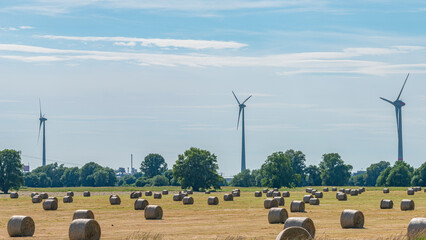 Wall Mural - Panoramic over beautiful Autumn wheat field farm landscape after harvesting with wheat rolls and wind turbines to produce green energy on a sunny day and blue sky