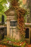 Fototapeta  - Cmentarz Rakowicki w Krakowie w deszczowy, jesienny dzień