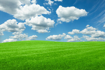 Lush green grass under bright blue sky with fluffy clouds