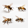 Bees collection on light background. Generative artificial intelligence
