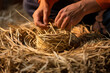 Man weaving straw, hands close-up