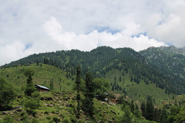 Scenic view of the natural beauty of Bulwai, Neelum Valley, Kashmir.  Tao Butt is famous for its lush green trees and natural beauty.