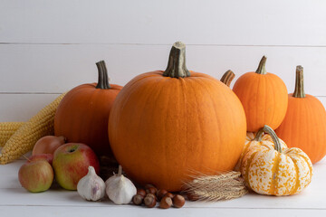 Wall Mural - Harvested autumn food