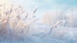Winter photo background, grass and sky, snowy cold landscape