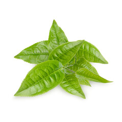 Wall Mural - Green tea leaves isolated on transparent background (.PNG)