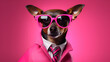  A dog dressed up in a cool jacket and tie. Rocking glasses for that extra flair. Posing on a pink backdrop, looking super chic. Space on the right for your message , best for marketing and advertise
