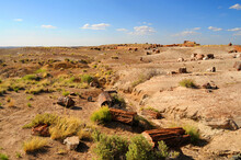 Rugged And Desolate Landscape Petrified Forest Arizona