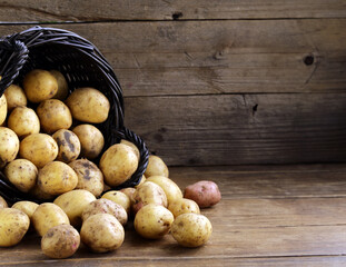 Wall Mural - organic potatoes in a basket on the table