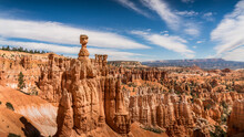 The Red And Orange Sandstone Hoodoos Along The Navajo Trail In Bryce Canyon National Park, Utah