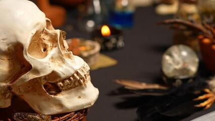 Wall Mural - Human skull and black candle focus shift, witchcraft magic ritual. Black magic related objects, tools. Still life gothic Halloween style of witch alchemist and magician concept.