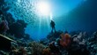 Divers exploring underwater coral reefs and marine life