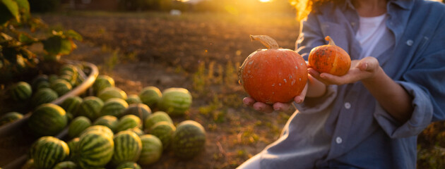 Aufkleber - Farmer with pumpkin on a pumpkins field.	