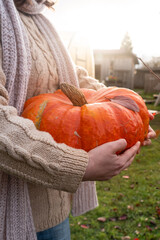 Aufkleber - Farmer with pumpkin on a pumpkins field.	