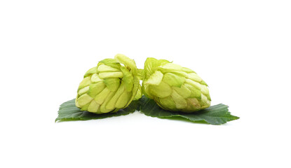 Canvas Print - Two cones of hops.