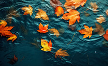 Colorful Fall Leaves In Pond Lake Water, Floating Autumn Wet Leaf. Fall Season Leaves In Rain Puddle. Sunny Autumn Day Foliage. October Weather, November Nature Background. Digital Ai	