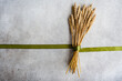 © ADDICTIVE STOCK - Wheat ears bouquet