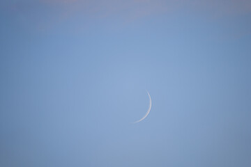 Wall Mural - Waxing Crescent Moon in the Blue Afternoon Sky Background