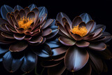 Fototapeta Kwiaty - Czarny kwiat abstrakcyjny. Generative aI