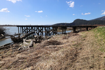 Wall Mural - Dry grass and old pier at river shores