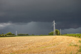Fototapeta Zwierzęta - Power plant in field with thuderstorm
