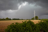 Fototapeta Zwierzęta - Power plant in field with thuderstorm