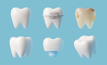 Set Of Various Realistic Teeth 3D Style, Vector Illustration