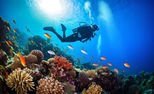 Scuba Diving In Tropical Ocean Coral Reef Sea Under Water.