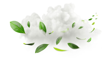 Aufkleber - Conceptual leaves flying movement purified air with clouds on transparent backgrounds 3d illustration png