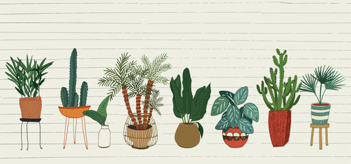 Home plants with pots vector illustrations set.