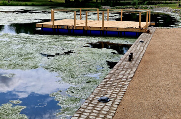 Pier for park visitors. two steps lead to it. planks terrace over water. Pond with a dock for boats. floor plan of a rectangle. the terrace has no railings., stone, green, algae, boat, duckweed, lawn