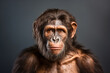 Australopithecus on a dark studio background, highlighting its anthropological features. rtistic representation using artificial intelligence. Not a scientific reconstruction