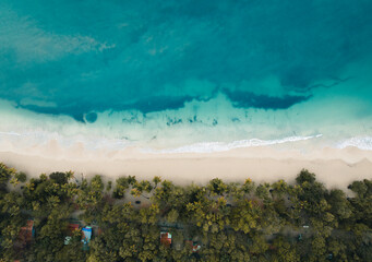 Wall Mural - aerial top drone view on sand beach,palm tree and ocean on the caribbean island of martinique, franc