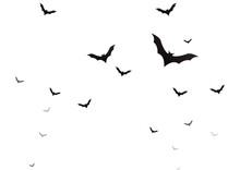 Flock Of Bats On Transparent Background