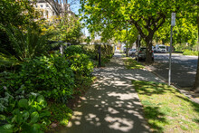 Pedestrian Walkway Or Sidewalk Under Lush Green Tree Shades With A Variety Of Plants On Roadside In Melbourne’s Suburban Residential Neighbourhood. Urban Background With Mature Street Trees.