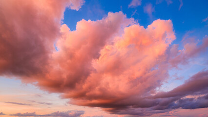 Wall Mural - Sky with clouds during sunset. Clouds and blue sky. A high resolution photograph. Panoramic photo for design and background.