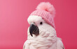 canvas print picture - Smiling white cockatoo parrot wearing knitted winter hat. Domestic pet bird, Australian animal. Pink pastel background. Christmas holiday concept, web banner. Creative birthday party card, invitation.