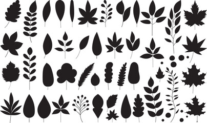 Wall Mural - set of tree leaves silhouette, on white background, vector