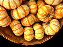 Collection Of Colorful Orange And Yellow Gourds And Pumpkins For Autumn And Hallowe'en